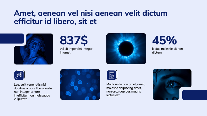 MellowForm Blue Professional slide 8